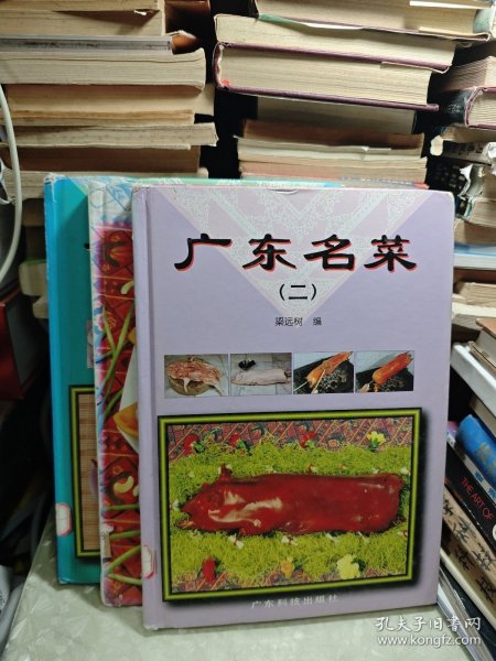 广东名菜 1-3 册