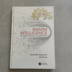 SWARM INTELLIGENCE群体智能