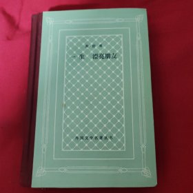 一生漂亮朋友