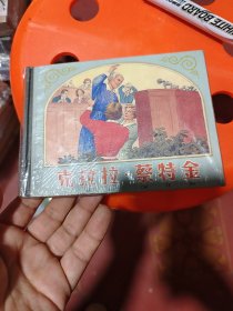 克拉拉，蔡特金