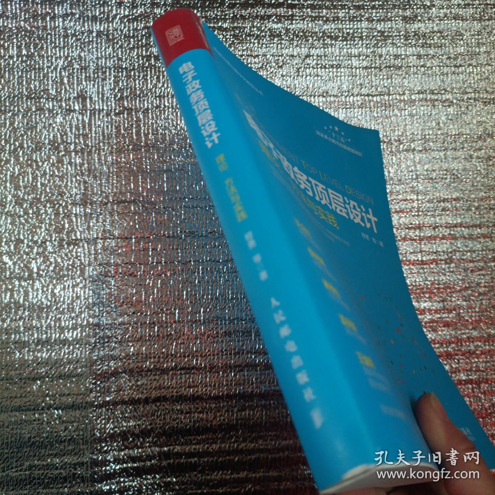 电子政务顶层设计理论方法与实践