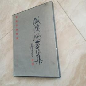 成汉飚书法集
