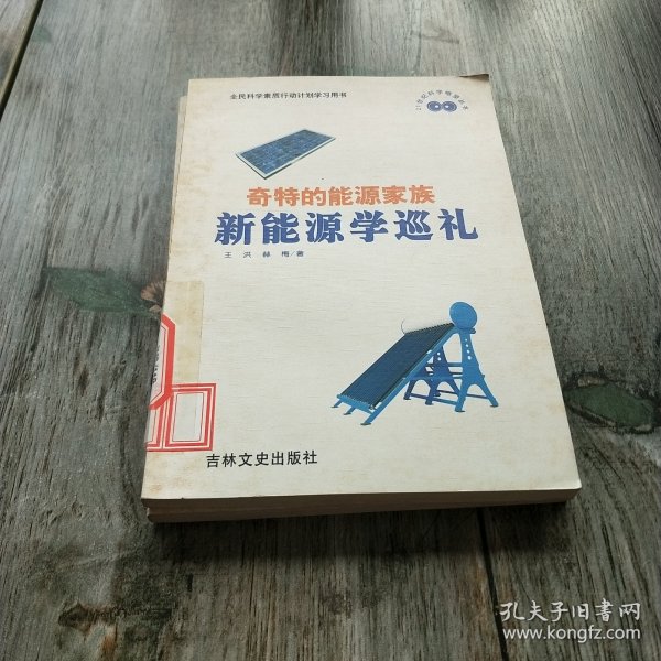 奇特的能源家族:新能源学巡礼