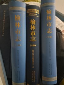 榆林市志(上中下)