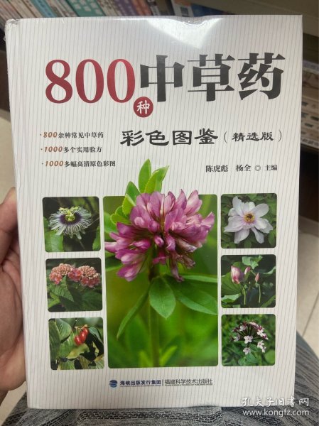 800种中草药彩色图鉴（白金珍藏版）