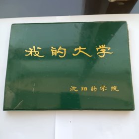 我的大学