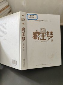 动物小说大王沈石溪经典作品·荣誉珍藏版：狼王梦