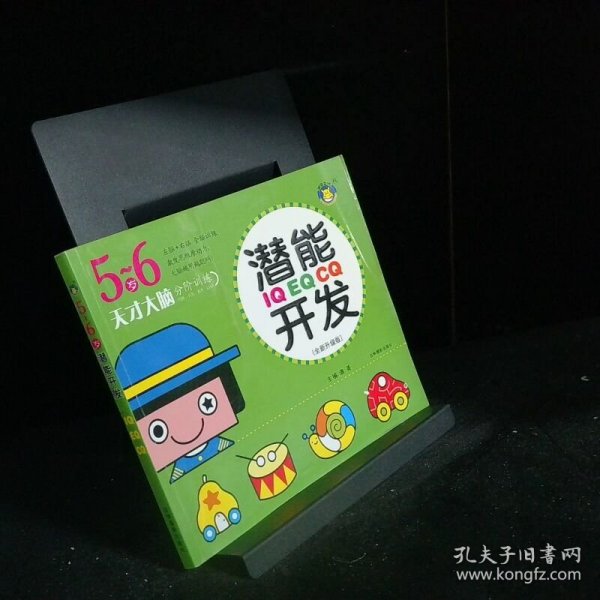 河马文化 IQ EQ CQ潜能开发5 6岁