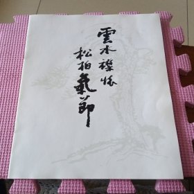 云水襟怀 松柏气节(杨尚昆画册)