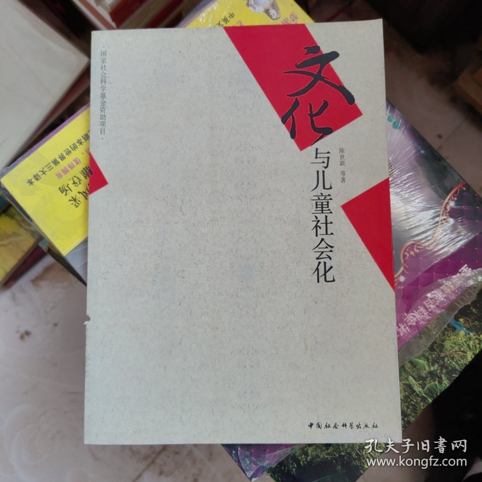 文化与儿童社会化