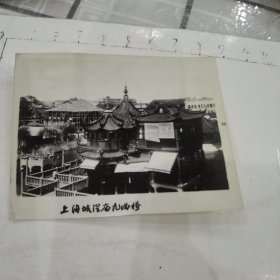 上海城隍庙九曲桥照片