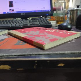 中国城市批判（如图书脊有瑕疵 扉页有瑕疵）