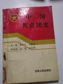 中國(guó)共青團(tuán)史
