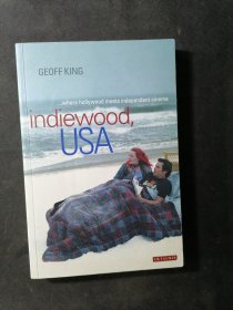 Indiewood, USA：Where Hollywood meets Independent Cinema (International Library of Cultural Studies)