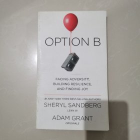 OPTION B (EXP)