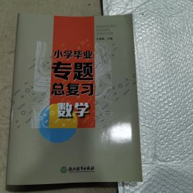 小学毕业专题总复习 数学（2024年，正版保证）