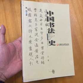 中国书法史：元明卷（刘俊文著唐代法制研究合售）