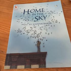 Home in the sky