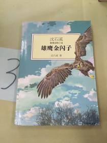 雄鹰金闪子：沈石溪激情动物小说