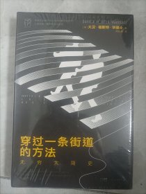 万有引力书系：穿过一条街道的方法：无穷大简史