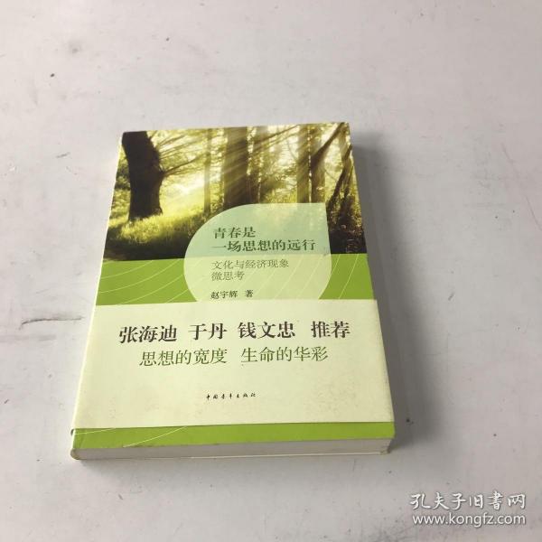 青春是一场思想的远行 : 文化与经济现象微思考