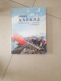 2016年无为县抗洪志