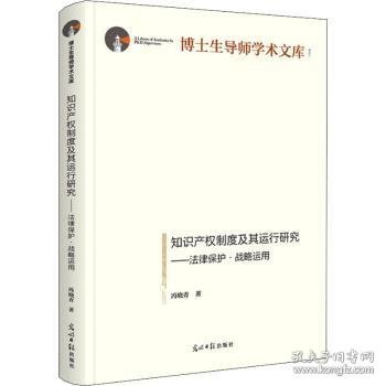 知识产权制度及其运行研究：法律保护·战略运用