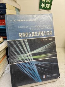智能优化算法原理与应用