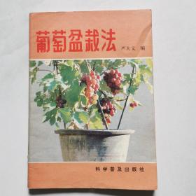 葡萄盆栽法   货号A3