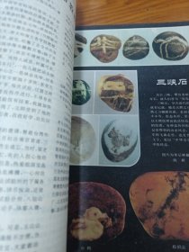 《花木盆景》1992年第2期 16开 j5nxb5