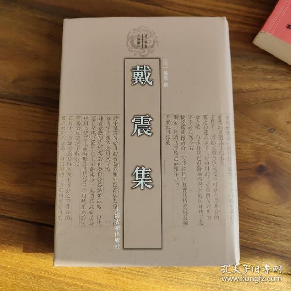 戴震集：清代学者文集丛刊