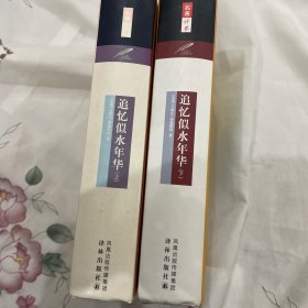 追忆似水年华（上下册）