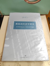 新政治经济学讲义：在中国思索正义、效率与公共选择