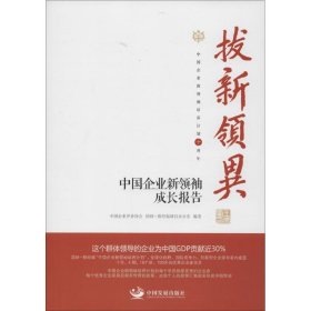 拔新领异 中国企业新领袖成长报告