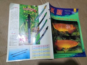 水族 彩虹水族养殖（东莞）有限公司