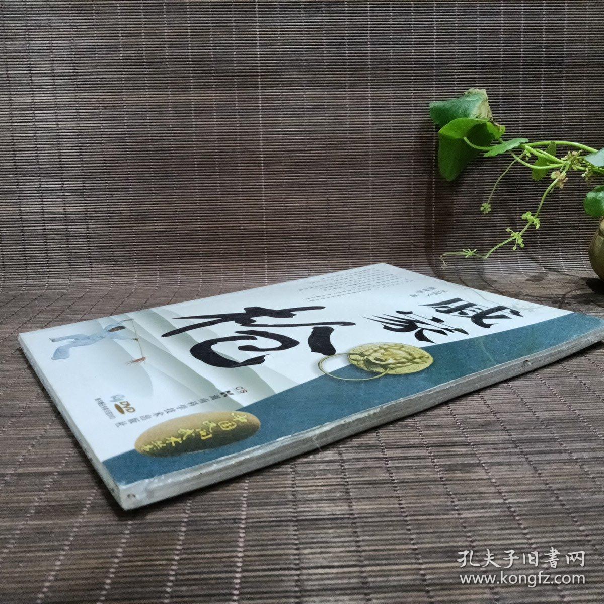 中国民间武术丛书：戚家枪