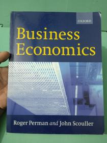 Business Economics 如图版本