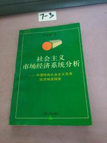 社會主義市場經(jīng)濟系統(tǒng)分析