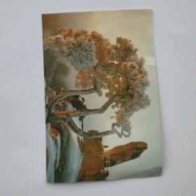 飞来石贺卡片一张