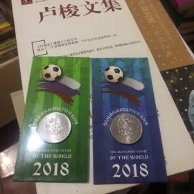 2018年世界杯纪念币