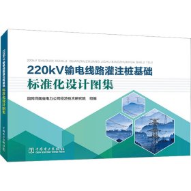 220kV输电线路灌注桩基础标准化设计图集