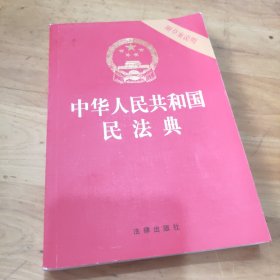 中华人民共和国民法典（32开压纹烫金附草案说明）2020年6月