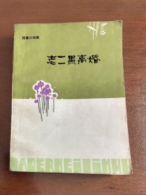 老二黑离婚 短篇小说集