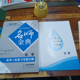 名师经典高考化学