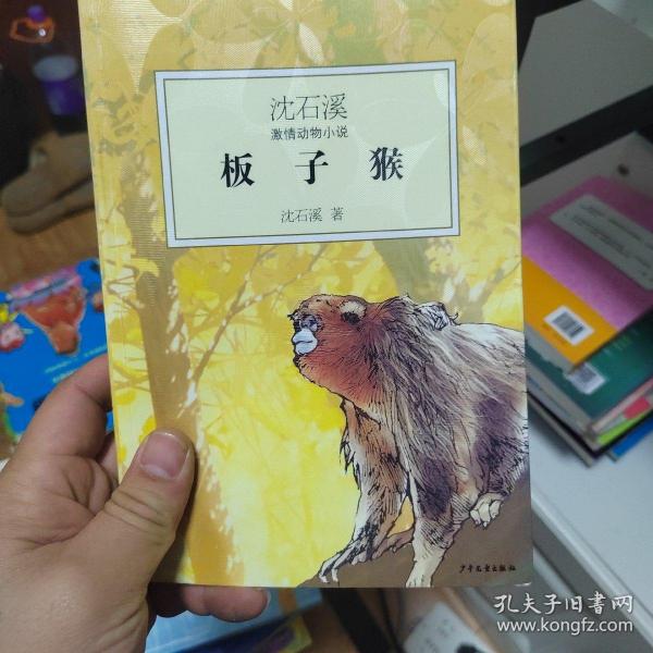 沈石溪激情动物小说：板子猴