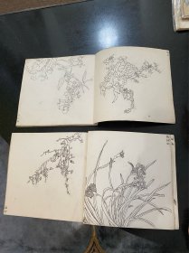 七十年代左右白描花卉手绘画稿两册74张手绘作品！画工精细！各种花卉植物画稿！
