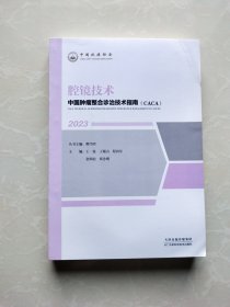 中国肿瘤整合诊治技术指南（cAcA）：腔镜技术（2023年）