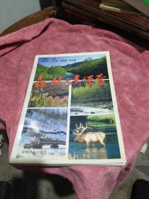 森林分類經(jīng)營