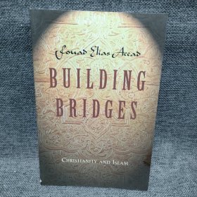 BUILDING BRIDGES