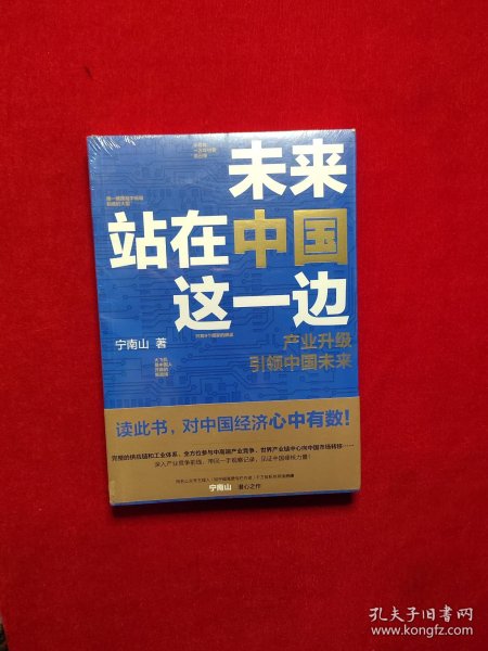 未来站在中国这一边（超人气公众号“宁南山”潜心之作，超硬核解析中国底气和中国优势）